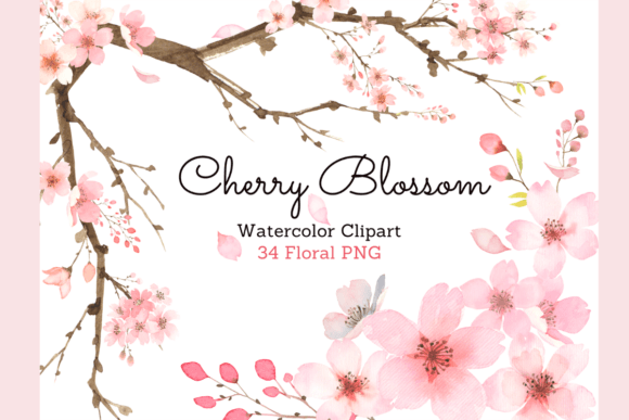 Cherry Blossom Watercolor Floral Clipart for Etsy & Digital Product Sellers