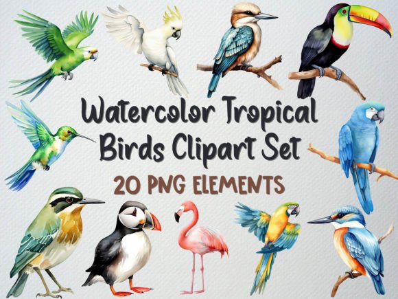 Evaluating Watercolor Tropical Birds Clipart Set for Local Branding and Packaging Design