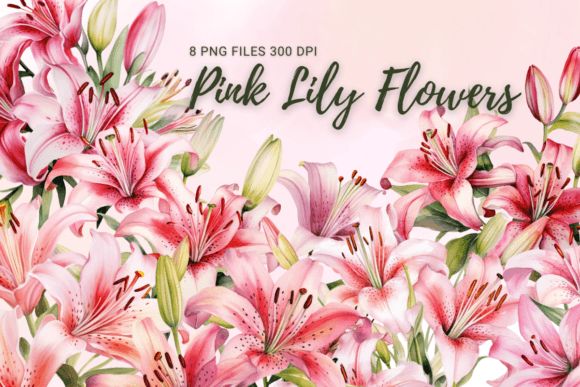 Pink Lily Flowers Watercolor Clipart for Crafting & Handmade Business