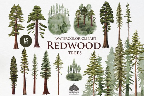 Redwood Watercolor Clipart: A Crafter’s Honest Review for Real Projects
