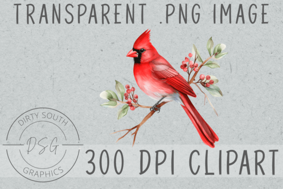 Watercolor Cardinal Bird Illustrations for Branding and Creative Projects