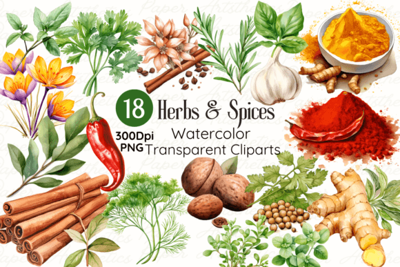 Watercolor Herbs and Spices Clipart Illustrations