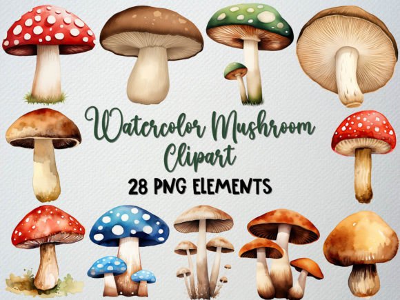 Watercolor Mushroom Clipart Set, 28 PNG Illustrations for Crafting Magic