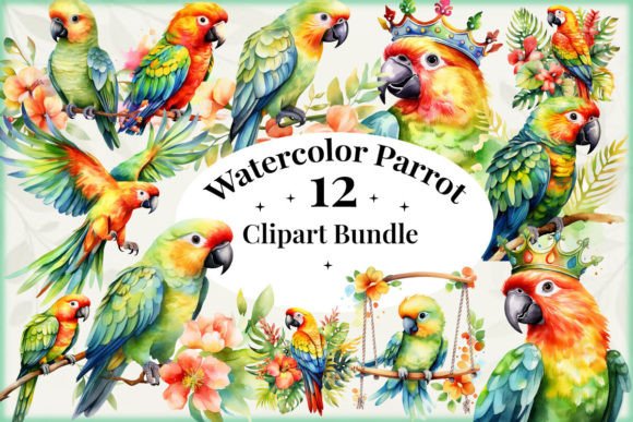 Watercolor Parrot Illustrations: A Designer’s Honest Review for Real Client Projects
