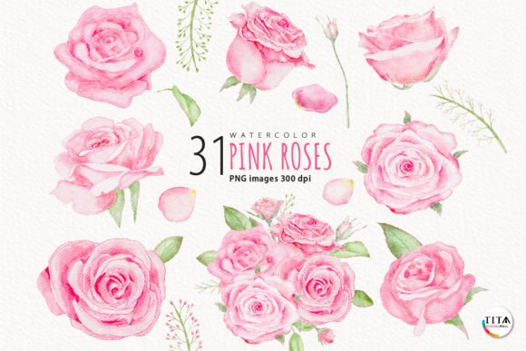 Watercolor Pink Roses Illustrations for Creative Sellers