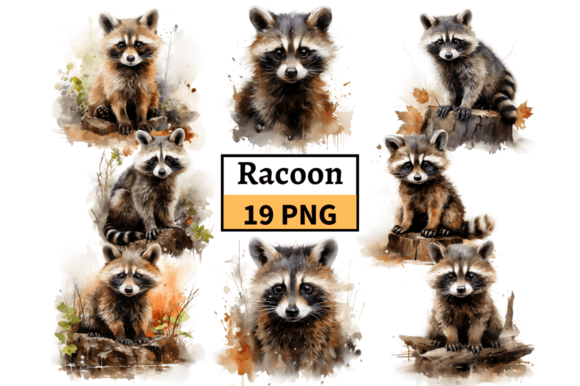 Watercolor Raccoon Clipart PNG Bundle Review