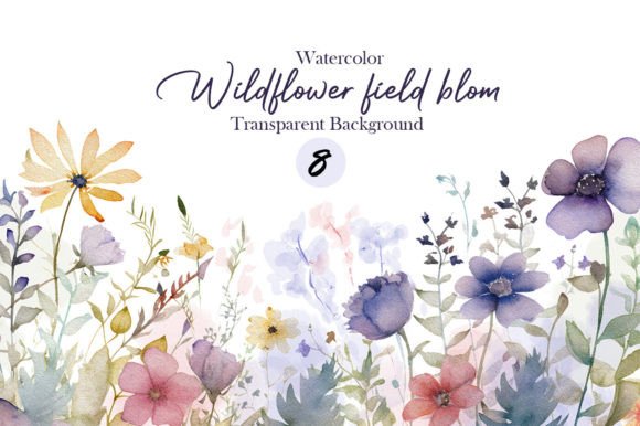 Watercolor Wildflower Fieldbloom Clipart Illustrations