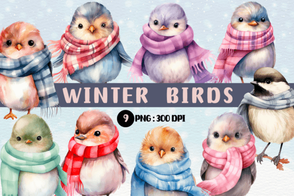 Watercolor Winter Birds PNG Sublimation Illustrations